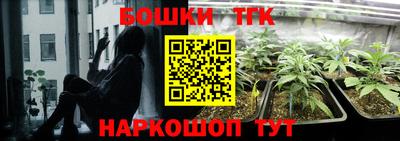 mdpv Новодвинск