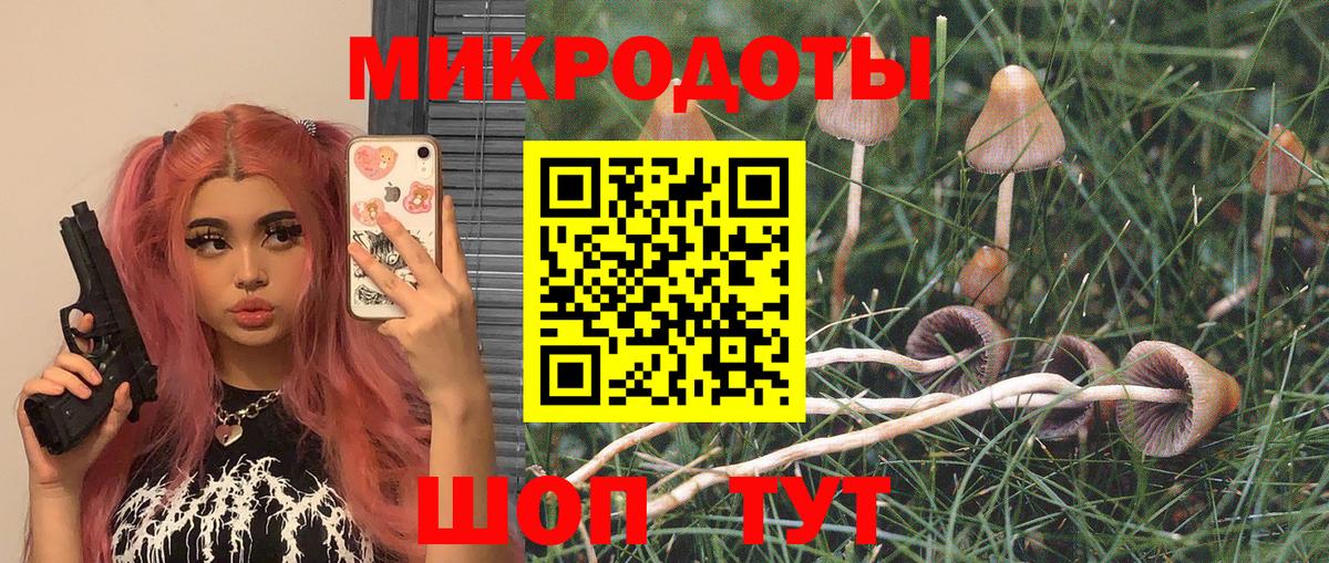Галлюциногенные грибы Psilocybe  Вход с VPN  Феодосия 